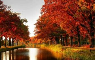 Autumn Colors Wallpaper