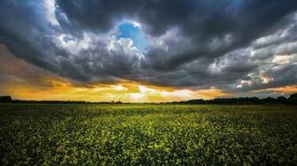 Fields Are Swaying HD Wallpaper For 4k X HDwallpaper Net