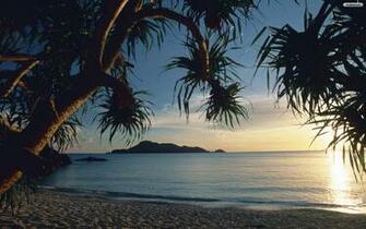 Tropical Beach Sunset Wallpaper