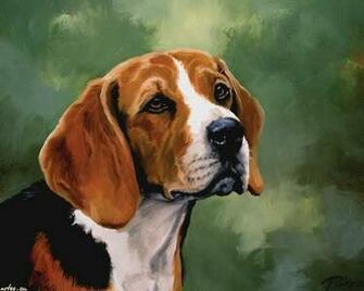 Beagle Wallpaper Yvt Photo Shared By Norris13 Fans Share