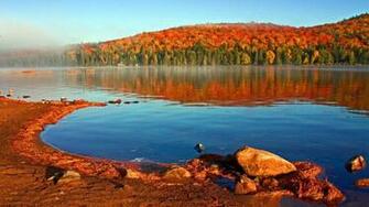 Lake Shore In The Fall Wallpaper