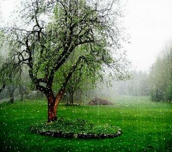Rainfall Pictures Rain Falling HD Wallpaper