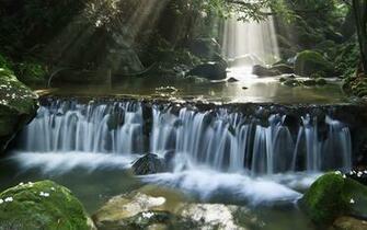 Green Forest River In Stones Wallpaper