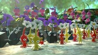 Pikmin Wallpaper 729394v Mb Wallperio