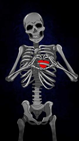 Top Best Skeleton Wallpaper Hq