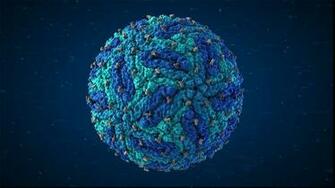 Zika Virus Wallpaper Elanramedical