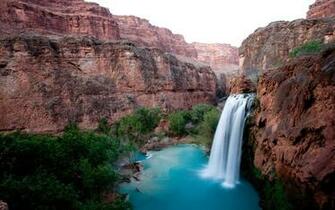 Linniebell Havasupai