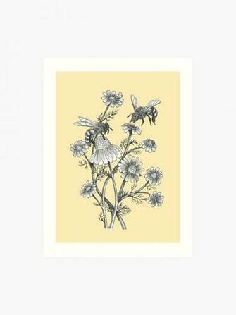 Bees And Chamomile On Honey Background Art Print By