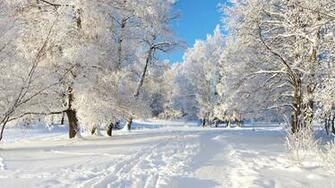 Live Snow Wallpaper For Laptop HDwallpaper20