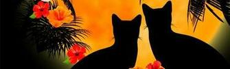 Desktop Nexus Wallpaper Black Cats Halloween