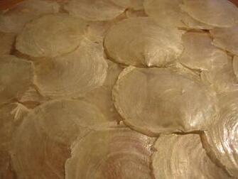 Capiz Shell HD Walls Find Wallpaper