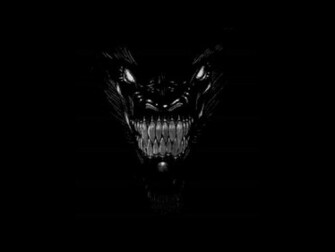 Black Dragon Dragons Photo