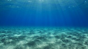Ocean Floor Background