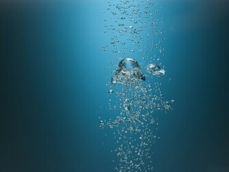 Padi Courses Explained Oceans Divers