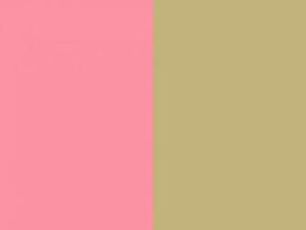 Salmon Color Background Pink And Sand Two