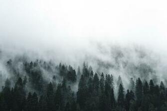 Mist Pictures HD Image