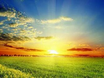 Sunrise Spring Nature