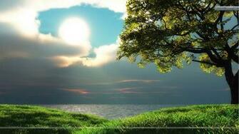 Sunset Scenery Green Grass Looking Cool Wallpaper Other