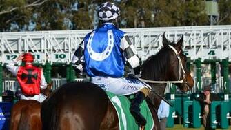 Horse Racing Wallpaper Pictures Image