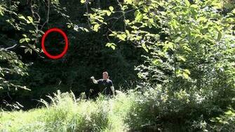 Best Bigfoot Wallpaper