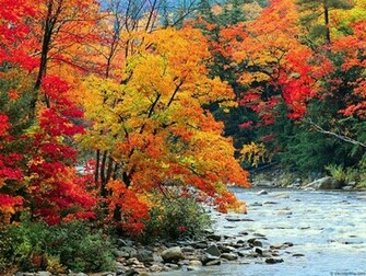 Autumn Season Cool Wallpaper Hivewallpaper