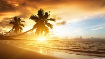 Amazing HD Wallpaper Top Background