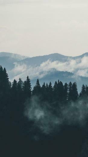 Adventurous Forest Mountain iPhone Wallpaper