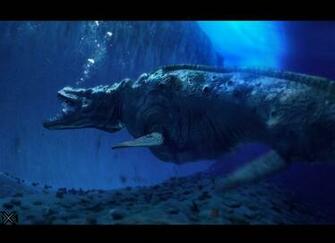 Sea Creature Wallpaper Fish Desktop
