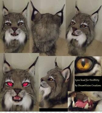 Cat Background