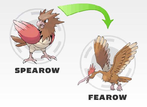 Pokemon What Level Does Spearow Evolve Hot Girls Wallpaper
