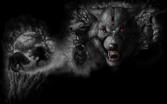Cool Black Wolf Wallpaper On