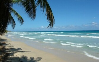 Playa Estado De Sucre Paisajes Venezuela Wallpaper