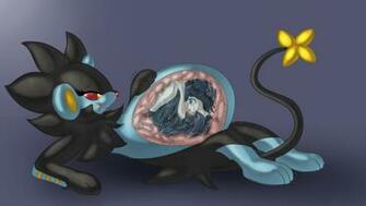 Luxray Nom By Zoruaboyrich