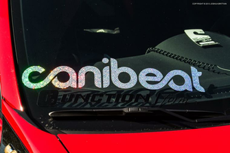 Canibeat Wallpaper Slammed Society