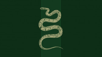 Slytherin Aesthetic Wallpaper