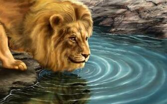 Descargar Fondos De Pantalla Leon HD Widescreen Gratis Imagenes