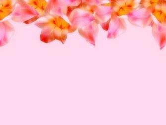 Floral Border Stock Photos Rgbstock Image
