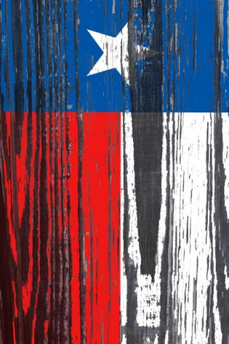 Different Take On A Texas Flag Suzanne Birrell