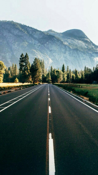 Fondo De Pantalla Carretera Nature Photography Scenery