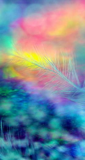 Rainbow Feather Wallpaper In iPhone Colorful