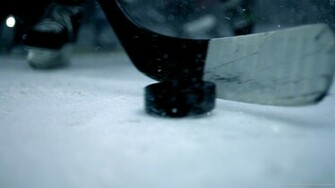 Sono Ice House Sport Ngin All Rights Reserved Terms Of Use