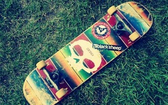 Skateboard Grass Nature Photo Wallpaper In Other