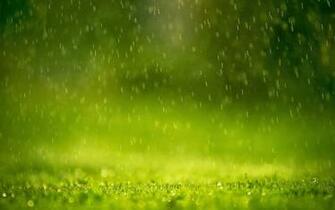 Rain Wallpaper