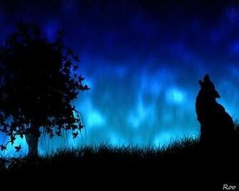 Pin Unm Lobo Wallpaper