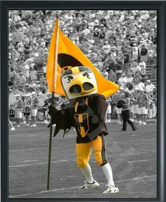 Iowa Hawkeyes Herky Framed Print