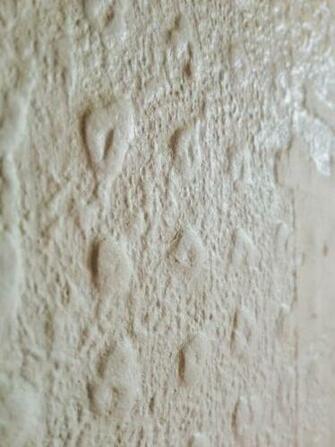 Decorating Help What Is This Stuff And Deal With It