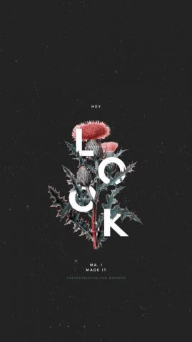 Aesthetic Black Wallpaper For Your