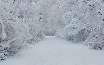 Winter Scenes Desktop Background Wallpaper9