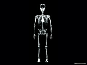 Wallpaper Art X Ray
