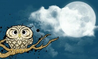 Coders Explore The Collection Birds Owls Owl